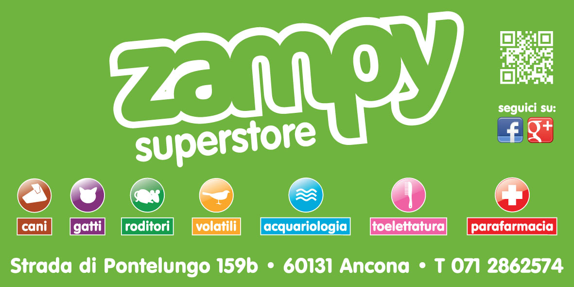 ZAMPY SCACCHI copia